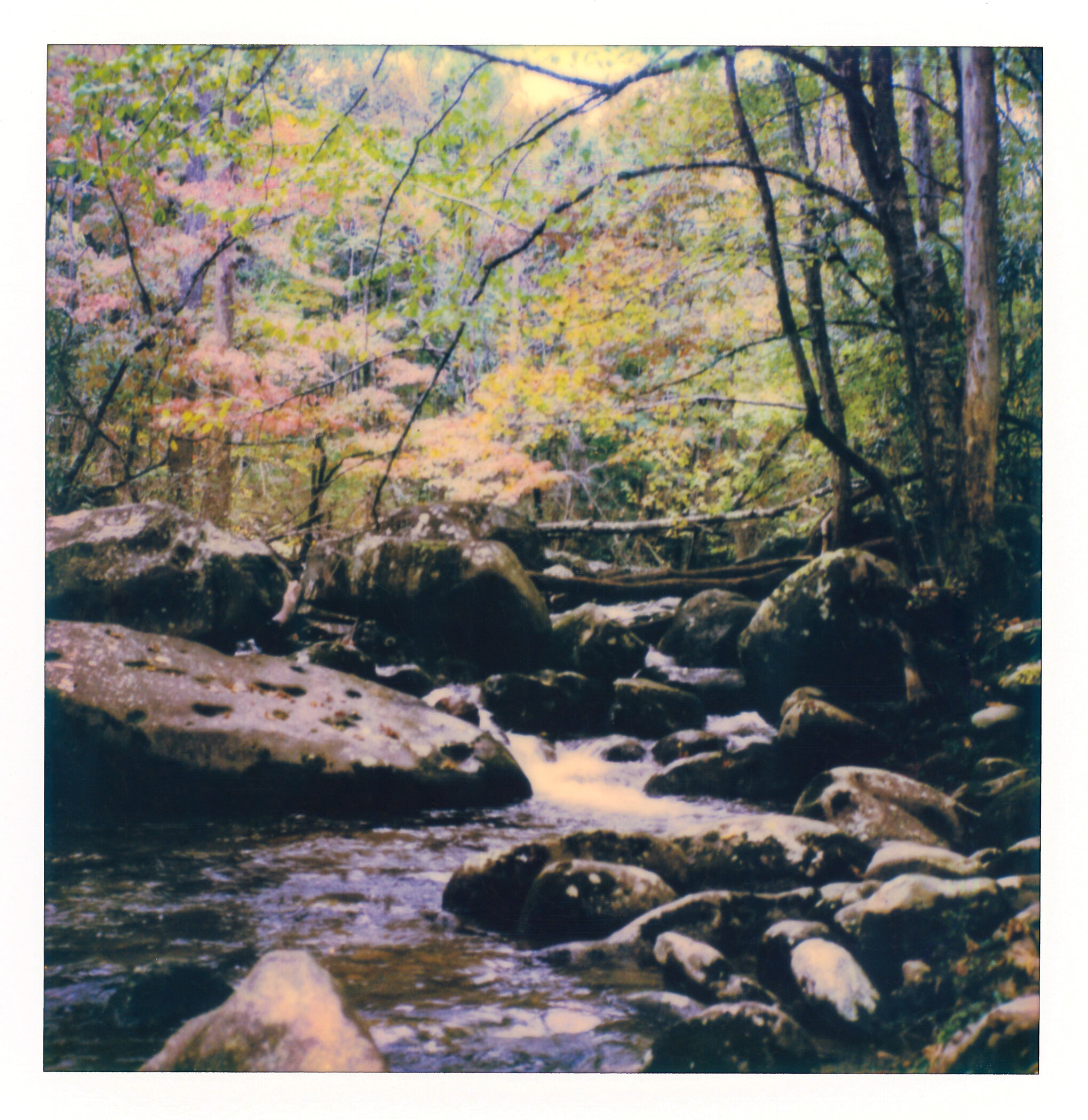 02-GSMNP_sx70-Edit.jpg