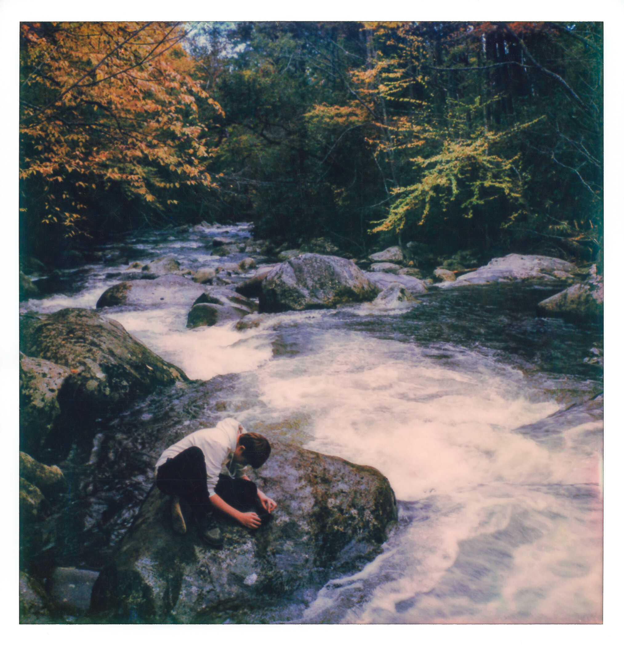 04-GSMNP_sx70-Edit.jpg