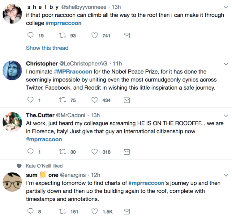 #MPRraccoon inspired people around the globe on topics ranging from completing college to world peace.