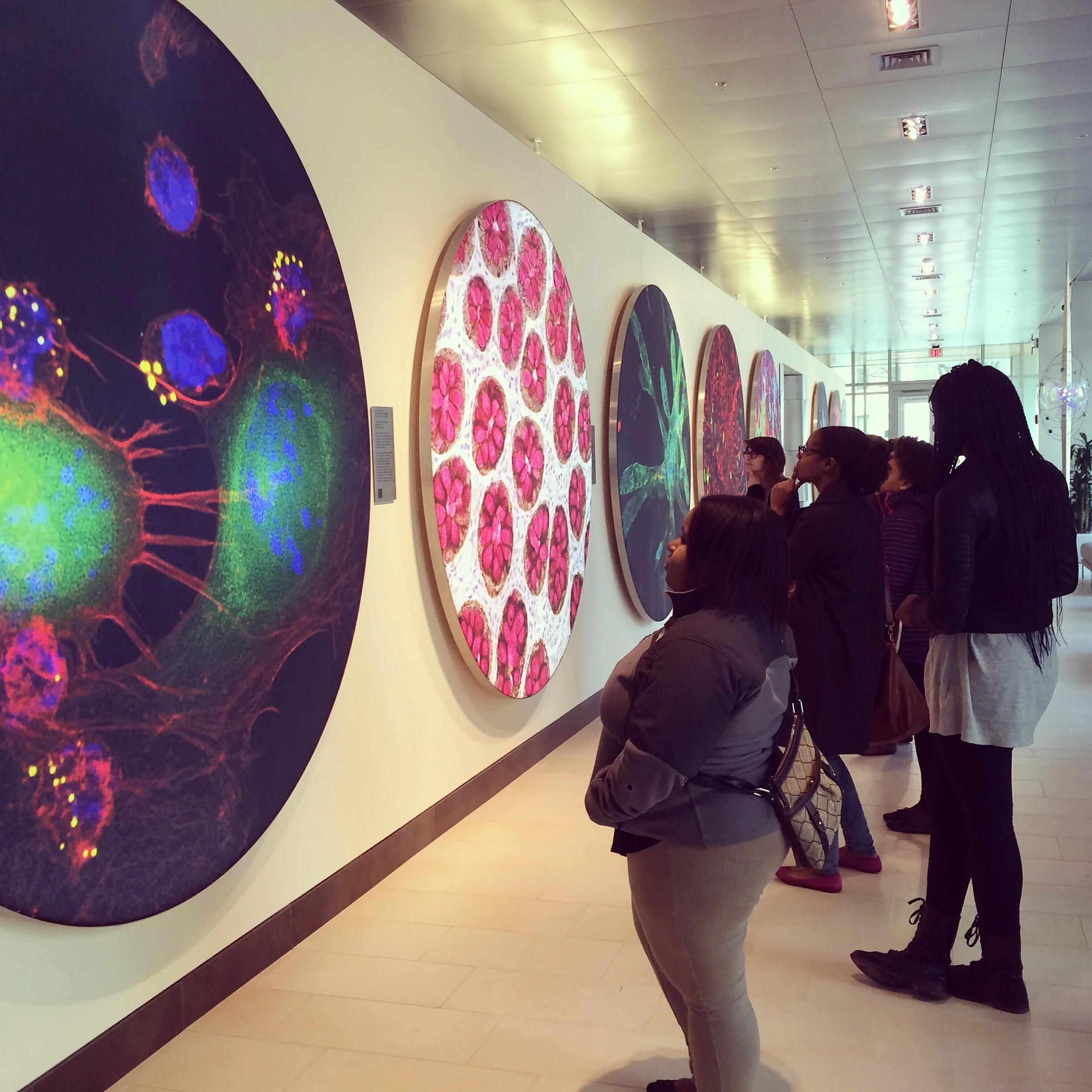 A visit to MIT’s McGovern Institute for Brain Research (2015)