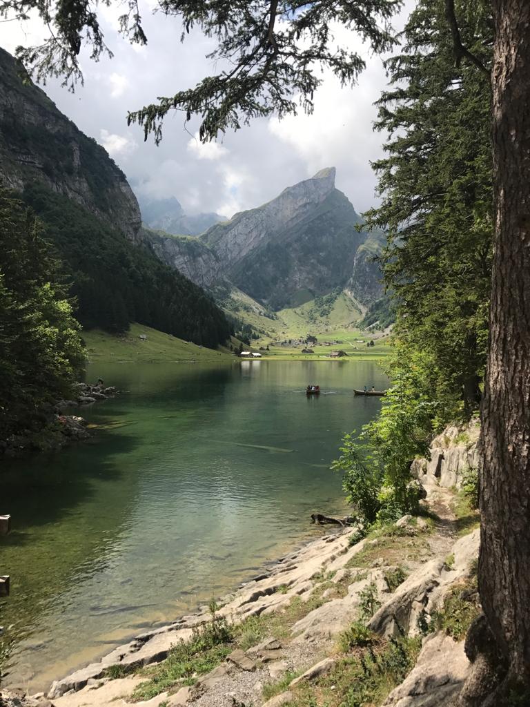 gWhatsApp Image 2019-08-23 at 14.25.35.jpeg