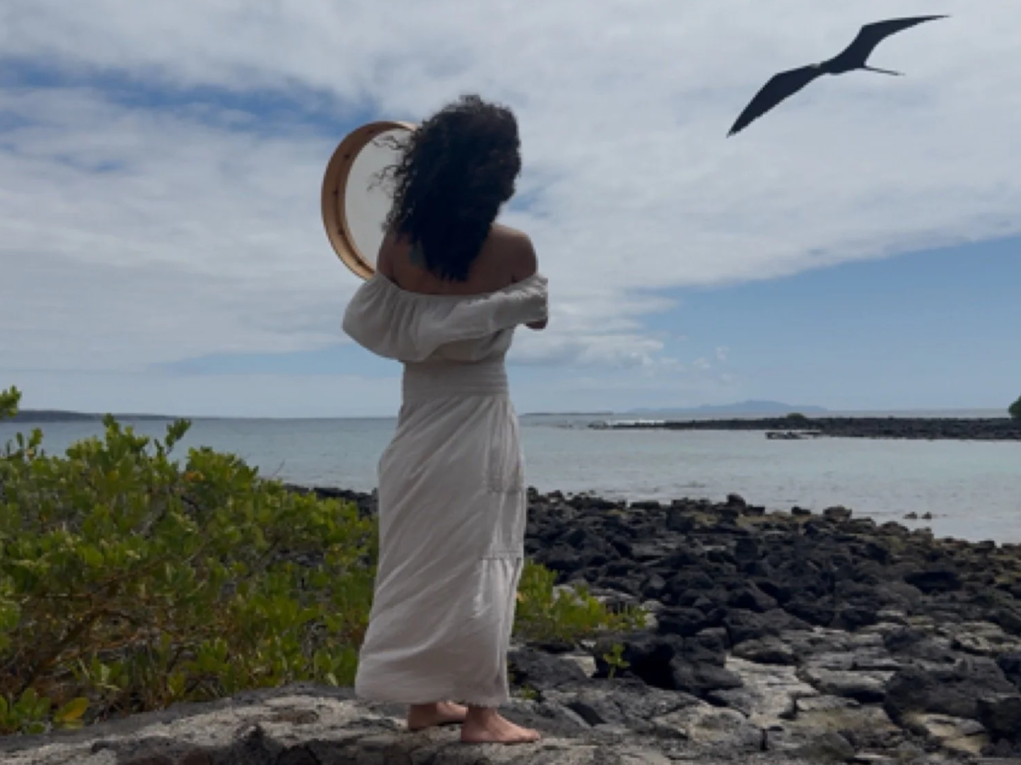 Life Updates: Galápagos → Asheville 