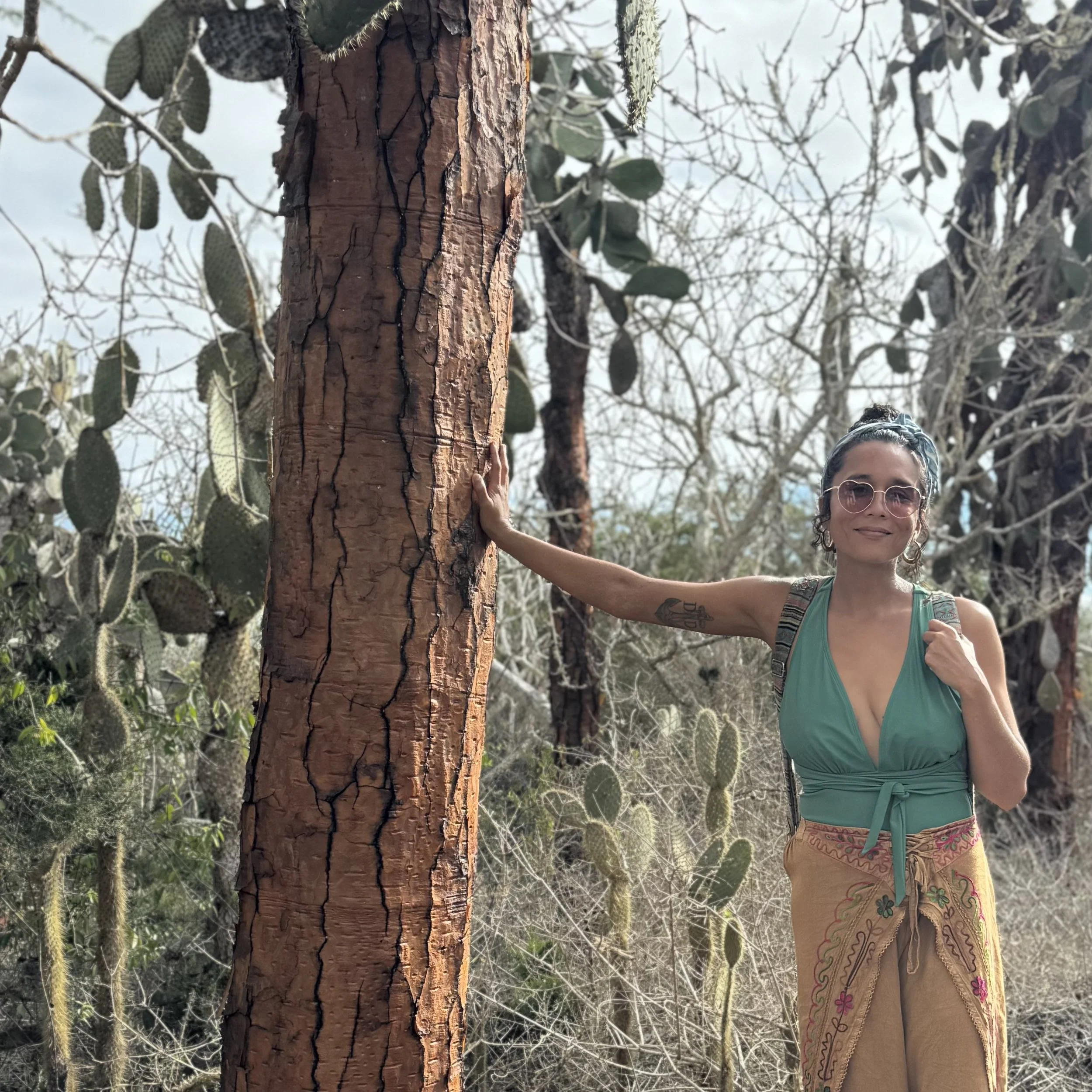 Life Updates: Galápagos → Asheville 