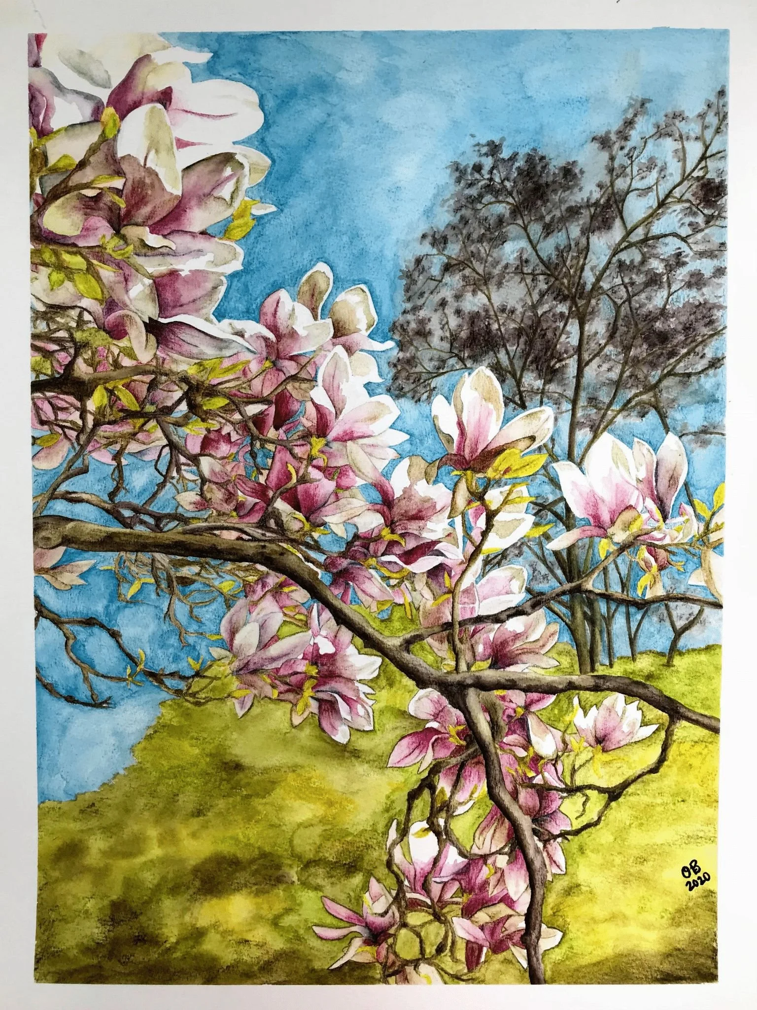 Magnolia Tree