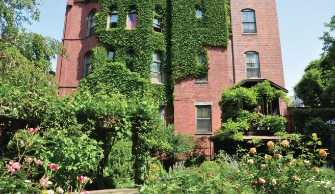 NYC Urban Garden Standouts