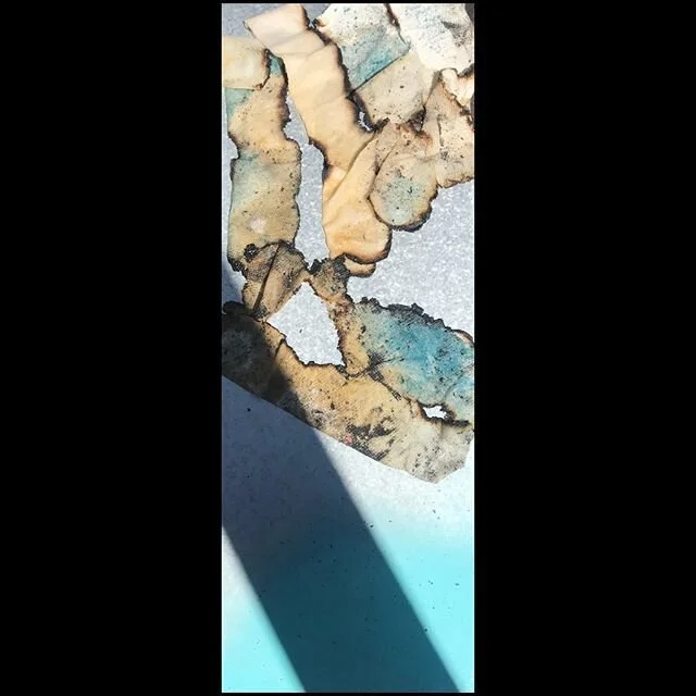 New one in progress. Thanks to @thezarabell for the inspiration!