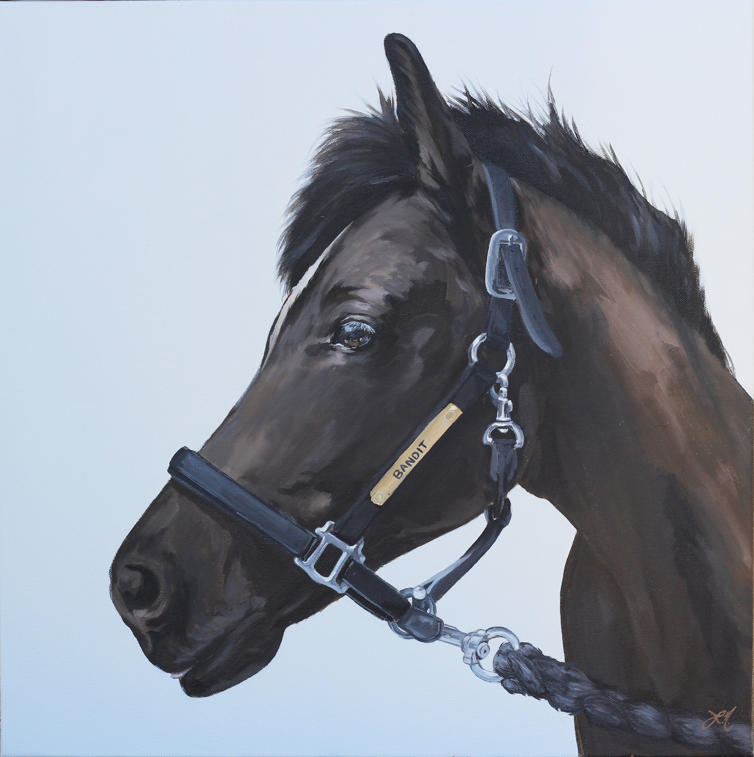 Horse_2112.jpg