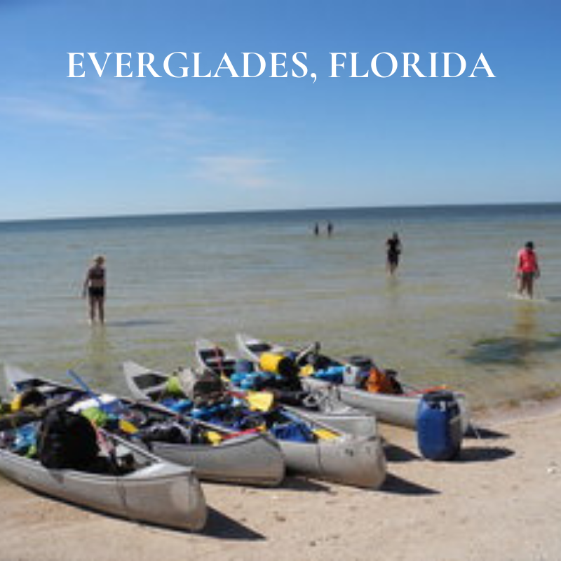 Everglades Florida.png