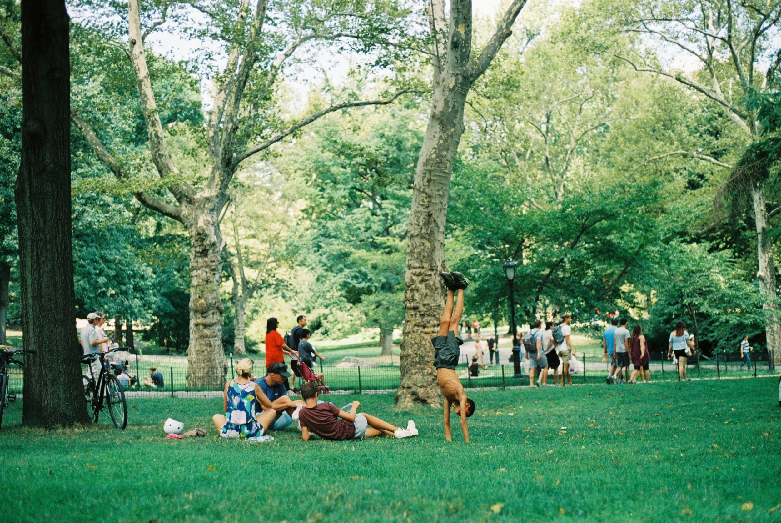 0490180_0490180-R1-051-24.jpg