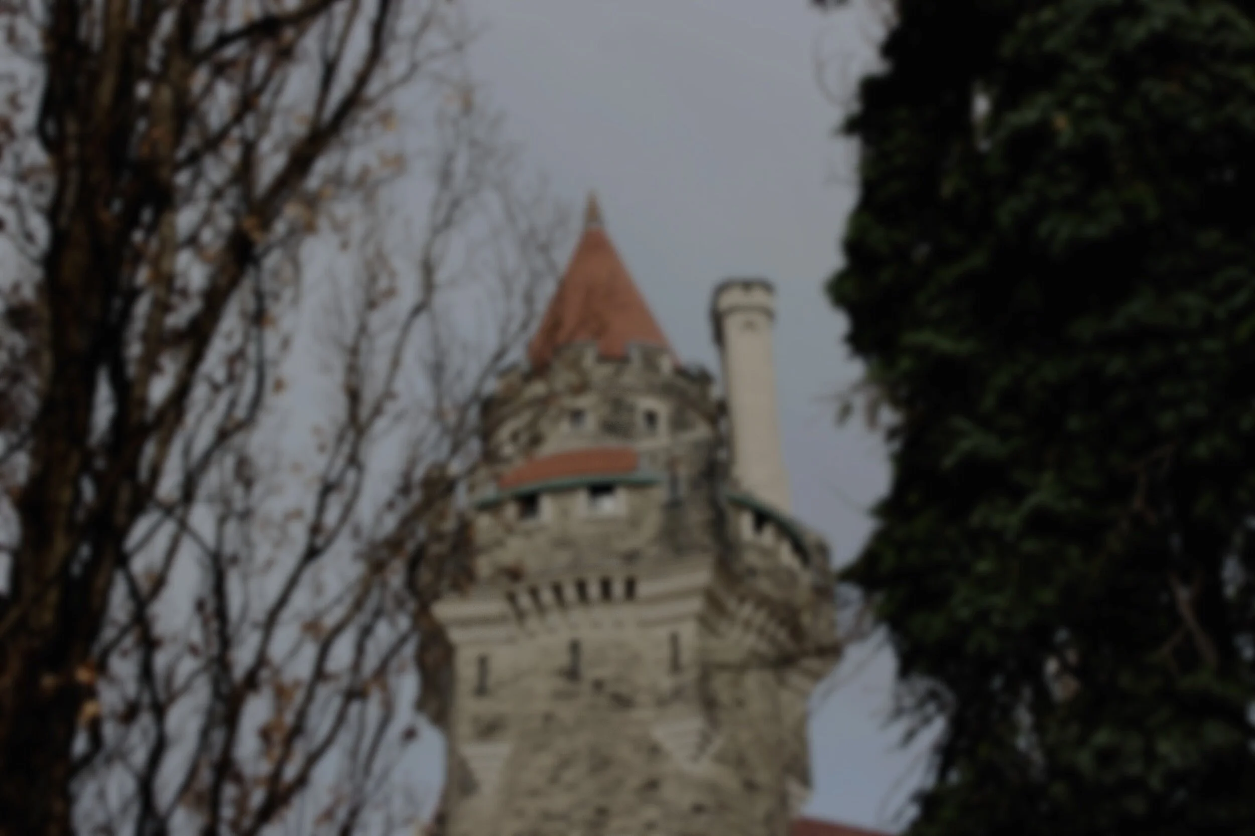 IMG_7591.jpg