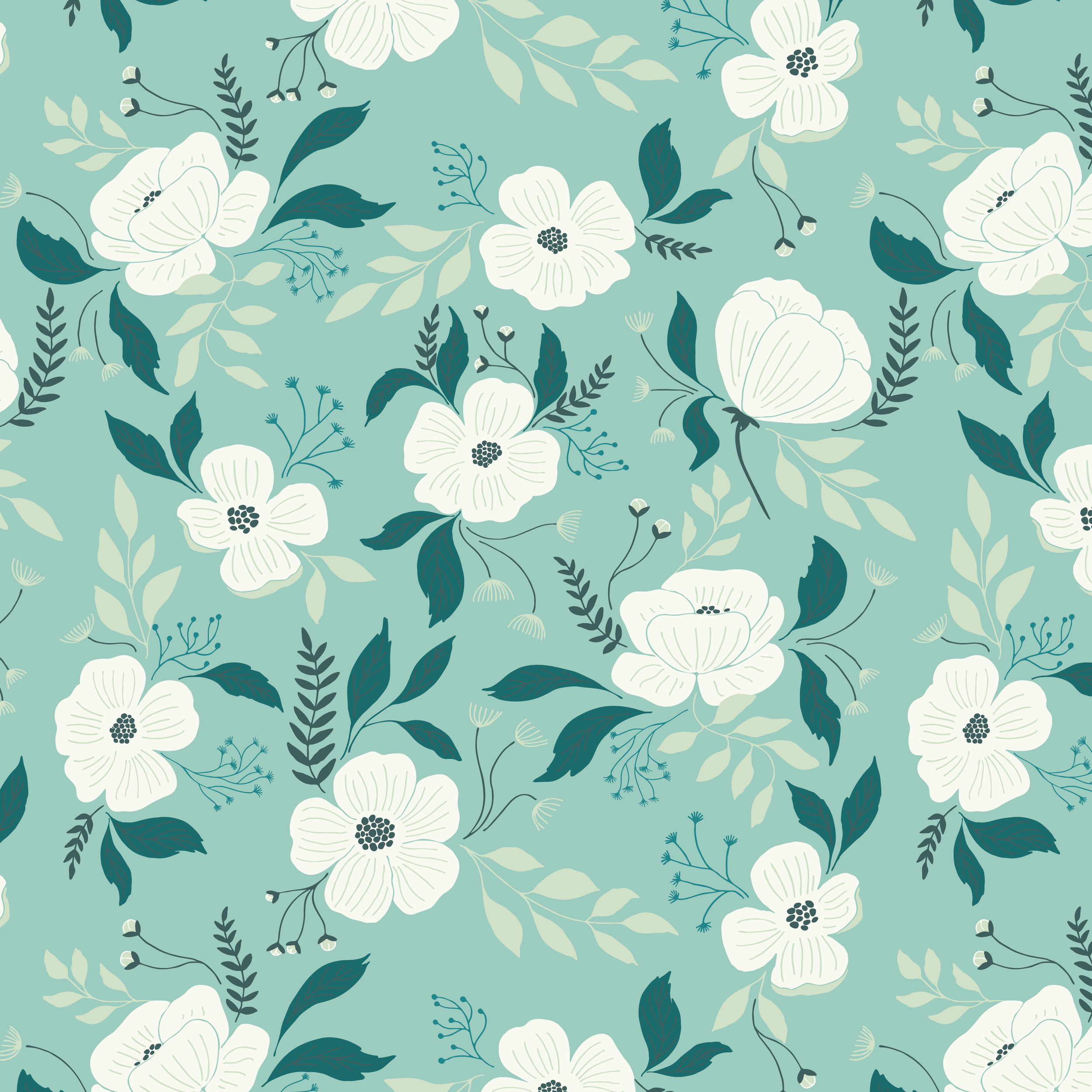 Back-cover.png