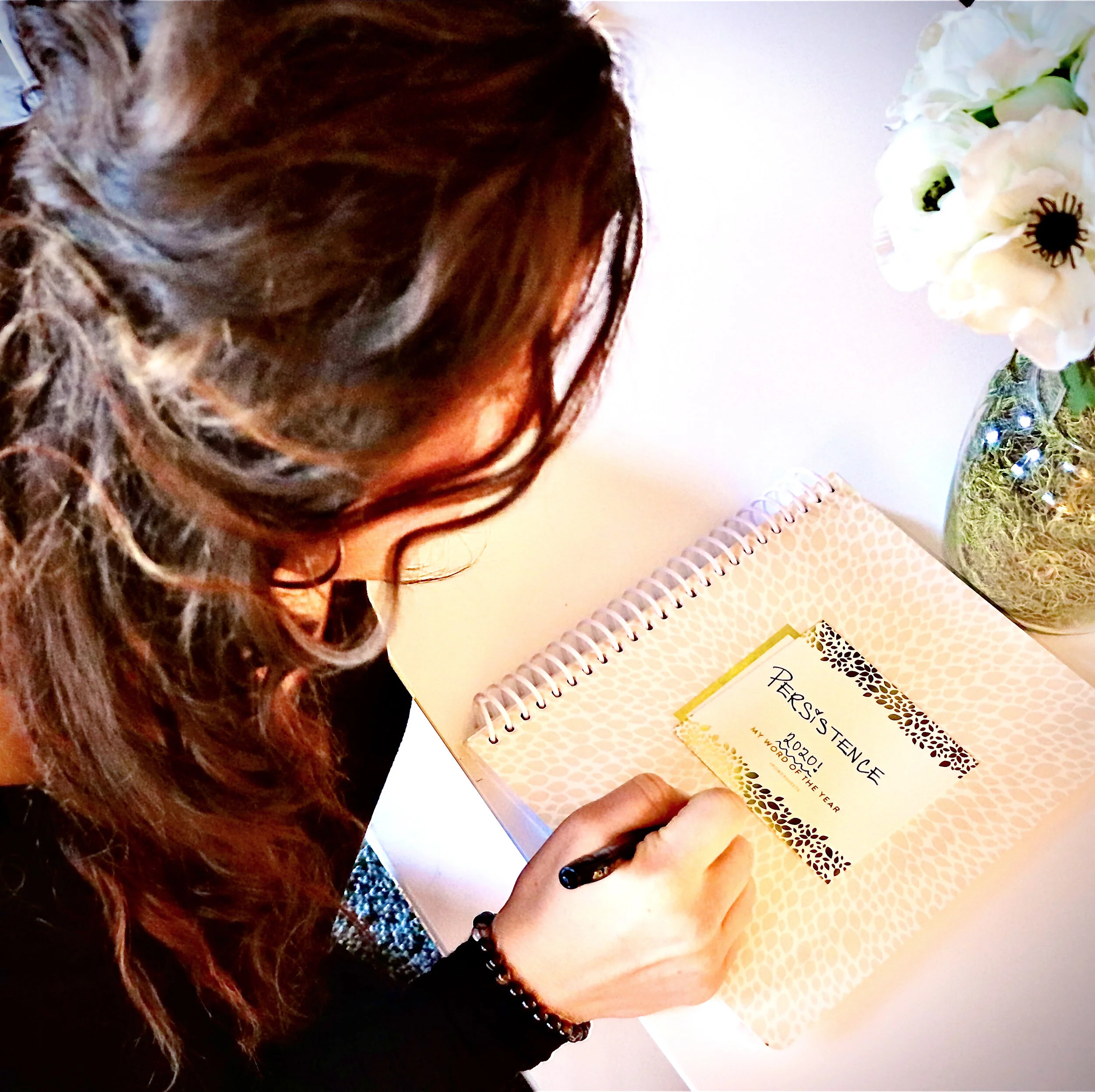 A letter written from my persistence..