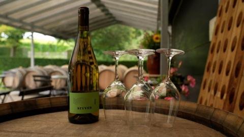 Emerging Wine Industry in Scandinavia: A Cold Climate's New Frontier