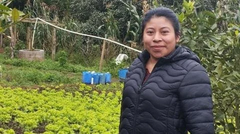 Harvesting Dreams: The Legal Path for Guatemalan Workers in US Agriculture