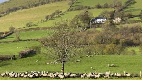Welsh Farmers Rally Against Inheritance Tax Hurdles Amid Government Indifference