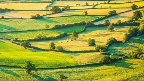 UK Farmers Fear Future: Green Funding Scheme Closure Sparks Outrage