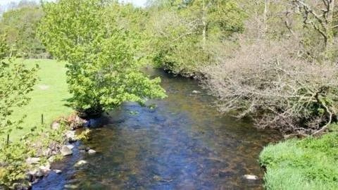Urgent Call to Address Rising Phosphate Levels in Wales' Protected Rivers