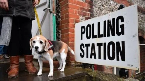 Voting in May 2025 Local Elections: Key Details You Need to Know