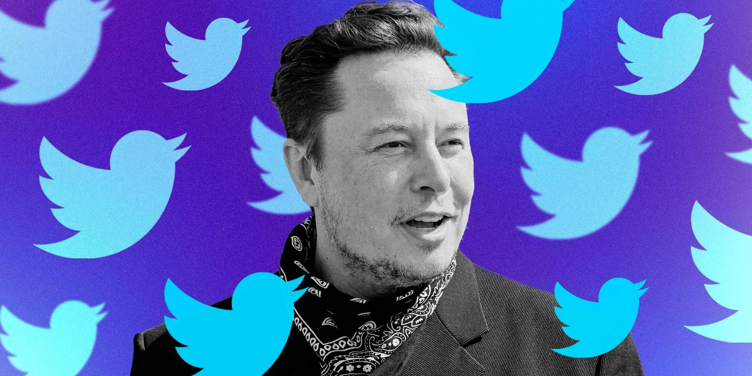 Musk Says He Would Reverse Trump's Twitter Ban