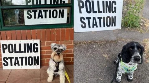 Don’t Miss Your Last Chance! Key Insights for Oxfordshire's Pivotal Elections