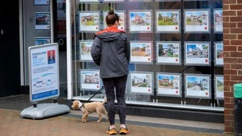 Unlock Your Dream Home: Splashing into the Lush World of Low-Deposit Mortgages!