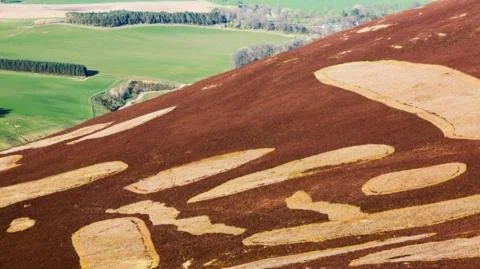 Are New Muirburn Rules a Recipe for Disaster? Wildfire Risks Rise in Scotland