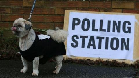 The Local Elections Showdown: Will Voter Sentiment Shift the Political Landscape?