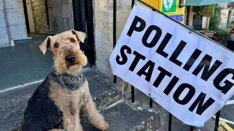 Paws for Your Vote: Dogs Join the Fun at England's Local Elections