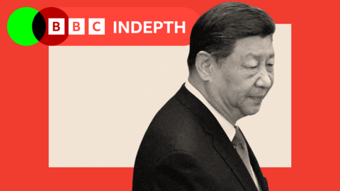 The Real Battle Lines: How Xi Jinping Faces Domestic Challenges Beyond Trump's Trade War