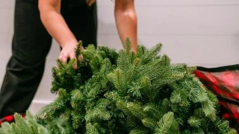 Holiday Hope Restored: Tariff Truce Gives Businesses a Second Chance