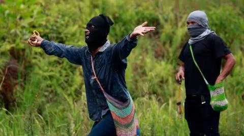 **Unrest in Paradise: Panama's Banana Region Finds Itself in Crisis Amid Protests**