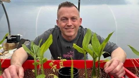 Revolutionizing the Spice Industry: A Ginger Entrepreneur's Plea for Government Support