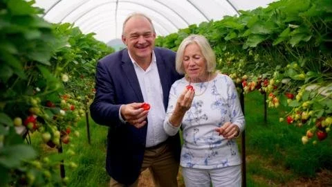 Strawberry Fields and Tax Shields: Lib Dems Sound Alarm over Farming Inheritance Tax