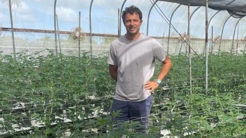 From Cultivation to Liberation: How the Caribbean is Transforming Cannabis into a Thriving Industry