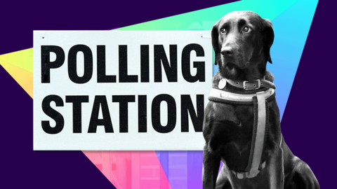 Unlocking the Ballot: Your Essential Guide to the Upcoming May Elections in the UK