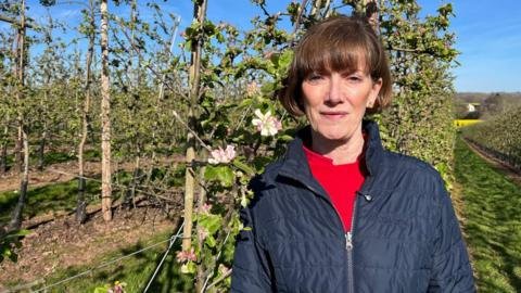 Global Food Crisis: Will Iran's Ceasefire Impact Rising Costs for UK Farmers?
