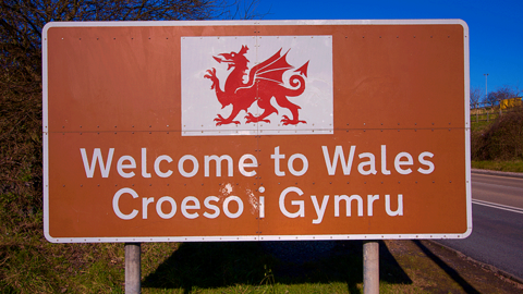 Is Independence the Real Issue? Plaid Cymru Candidate Reveals Election Focus