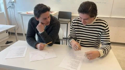Turning the Page: Sweden Schools Rediscover the Power of Traditional Learning