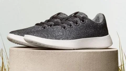 From Footwear to Future: How Allbirds Soared 580% with an AI Pivot