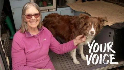 Insured? Think Again: The Shocking Truth Behind Pet Policy Cancellation and Skyrocketing Vet Bills