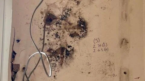 Is Your Home Insulation Scheme Too Good to be True? Four Arrested in Major Fraud Bust!