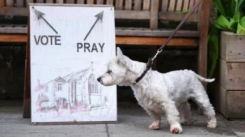 Paw-tastic Polling: How Dogs Bring Joy to Election Days