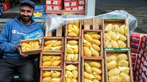 From Orchards to Oceans: The Extraordinary Journey of Fruit Across Cultures