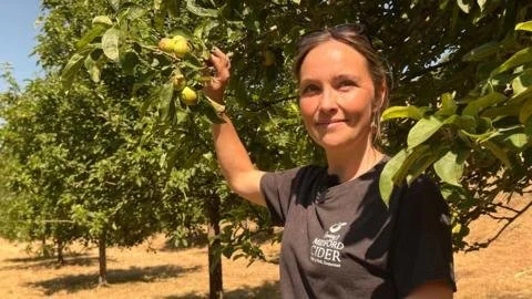 Cider Crisis: How Drought Devastates Apple Harvests