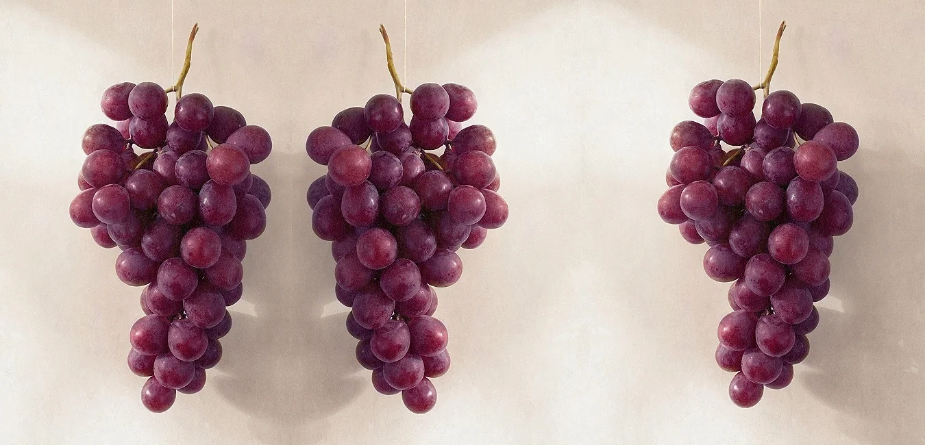 Website+welcome+grapes.jpg