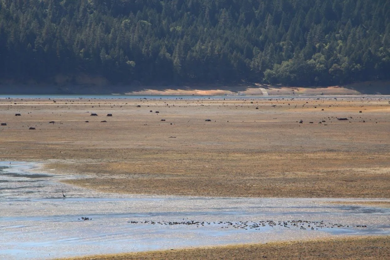 UKIAH DAILY JOURNAL: Lake Pillsbury Alliance Working to Keep Water - Parts 1 &amp; 2