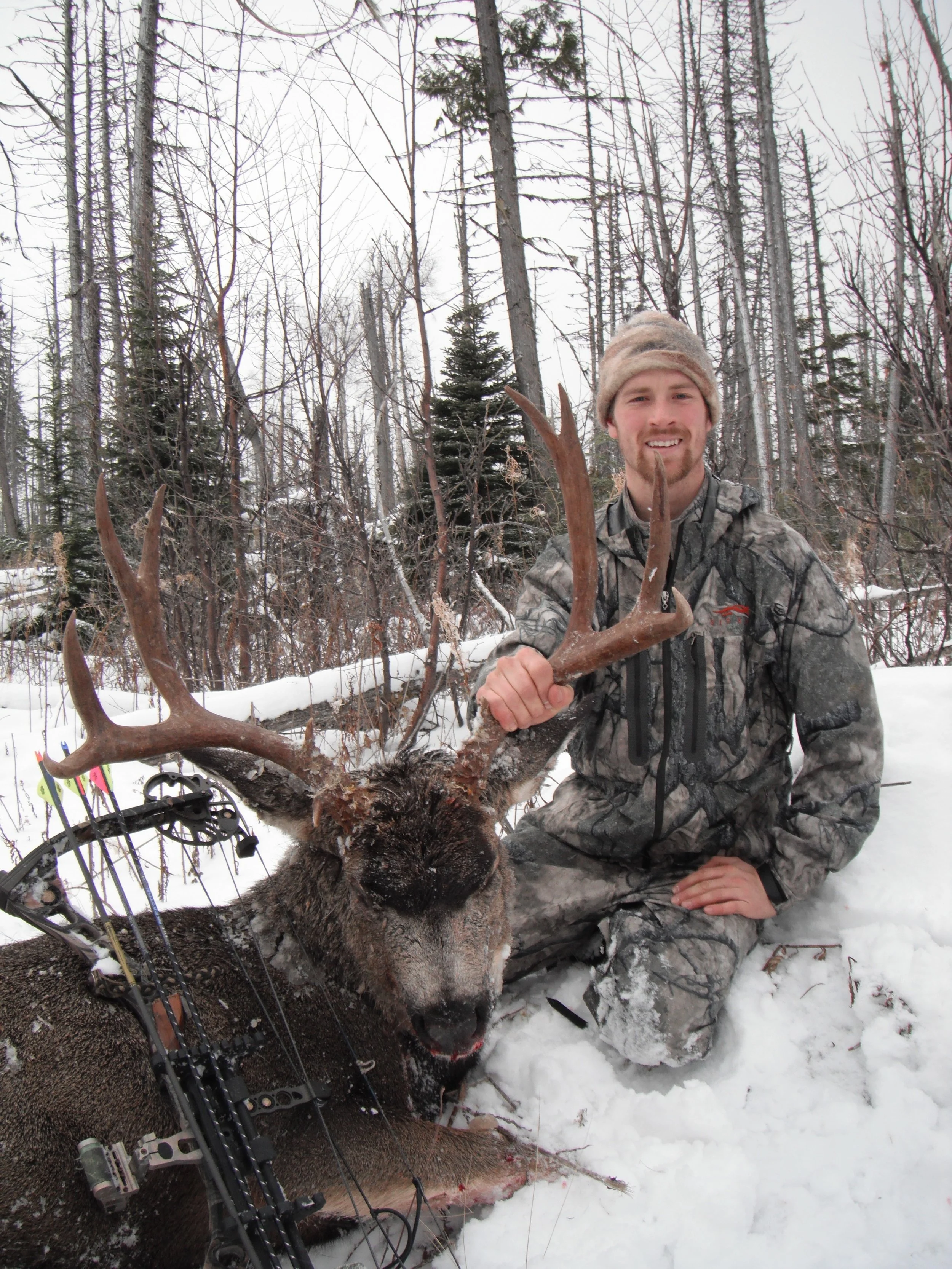 Archery Mule deer hunting in Northern BC with Robson Valley Outfitters