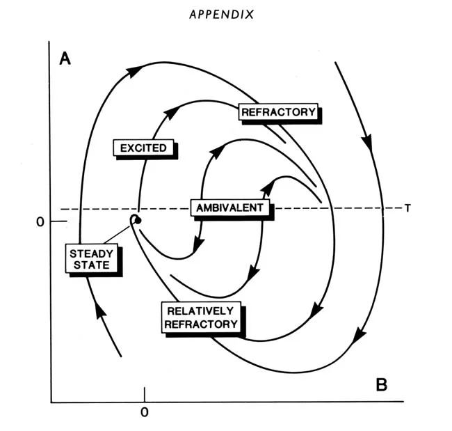 self_organization2.jpeg