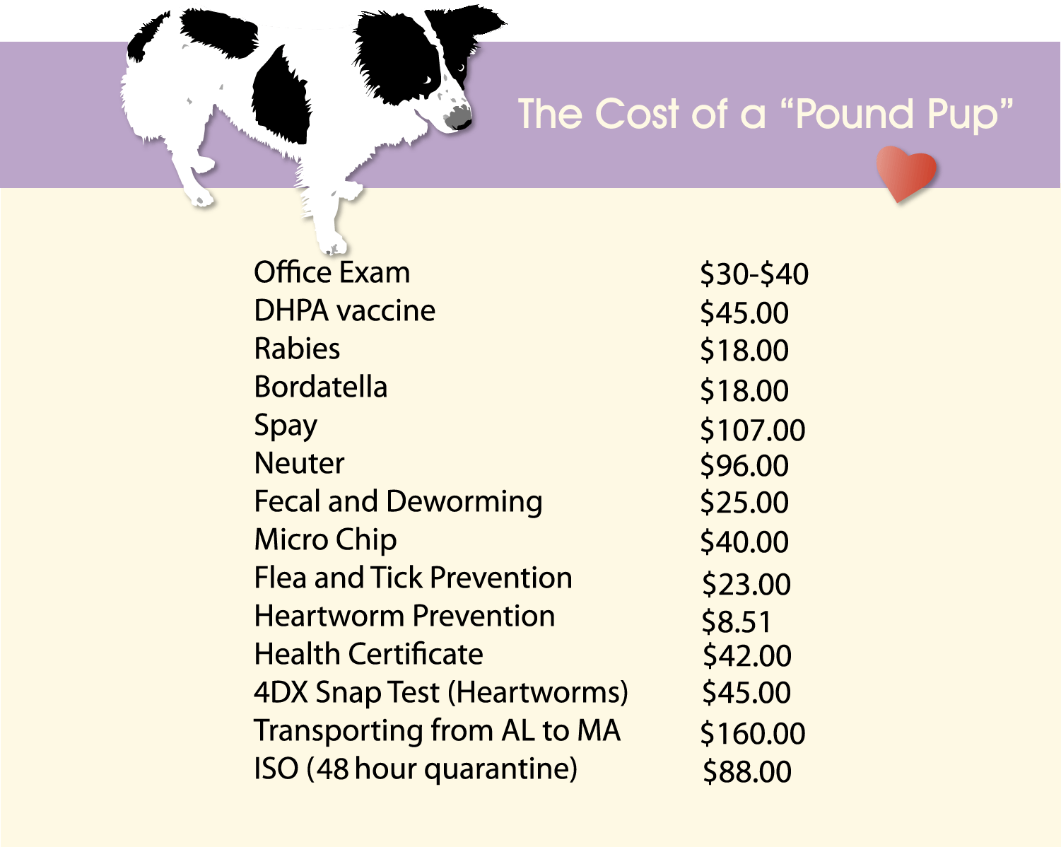 cost-of-rescue.png