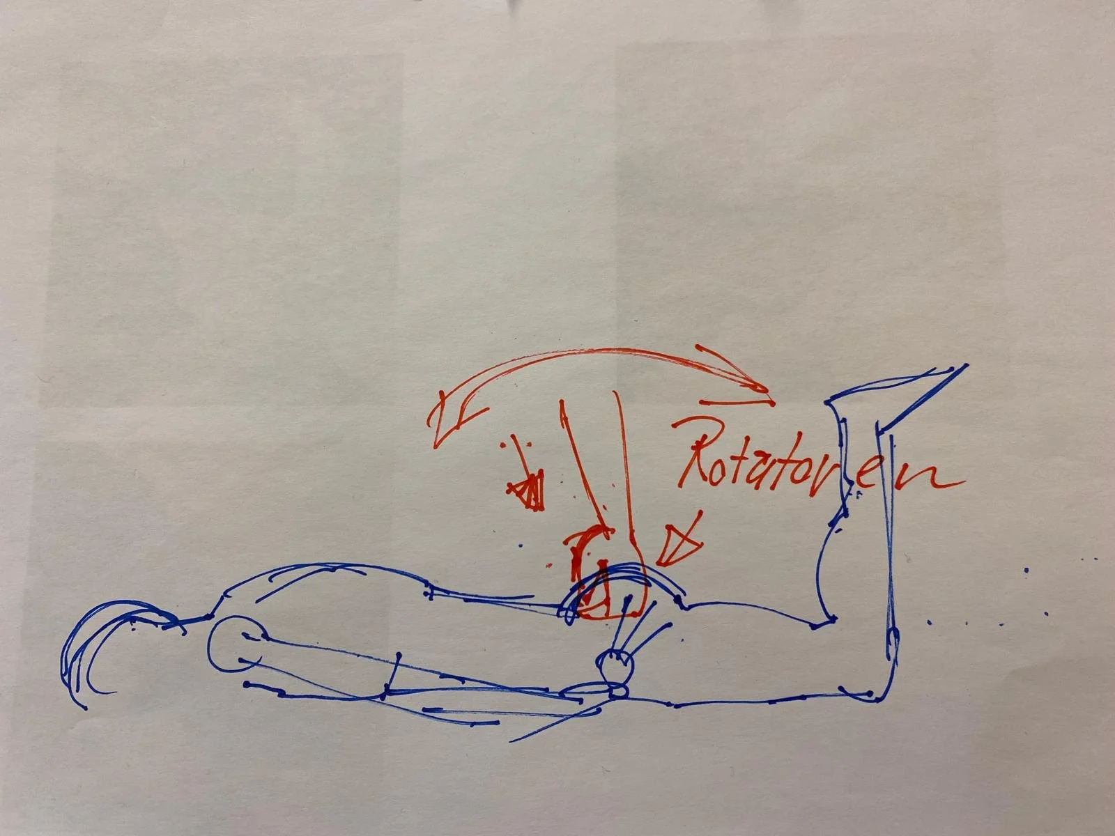 WhatsApp Image 2025-02-07 at 19.44.11 (2).jpeg